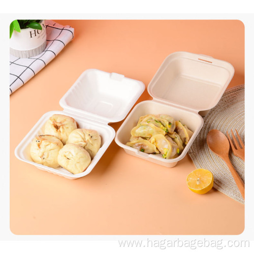 Disposable biodegradable sugarcane bagasse box